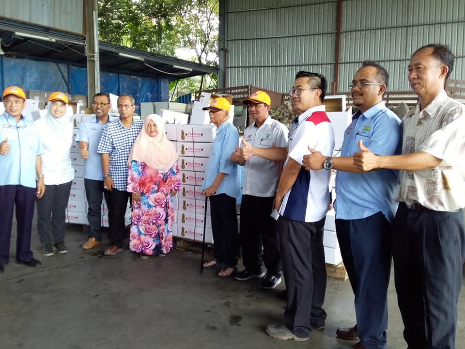 Malaysian Pineapple to be exported