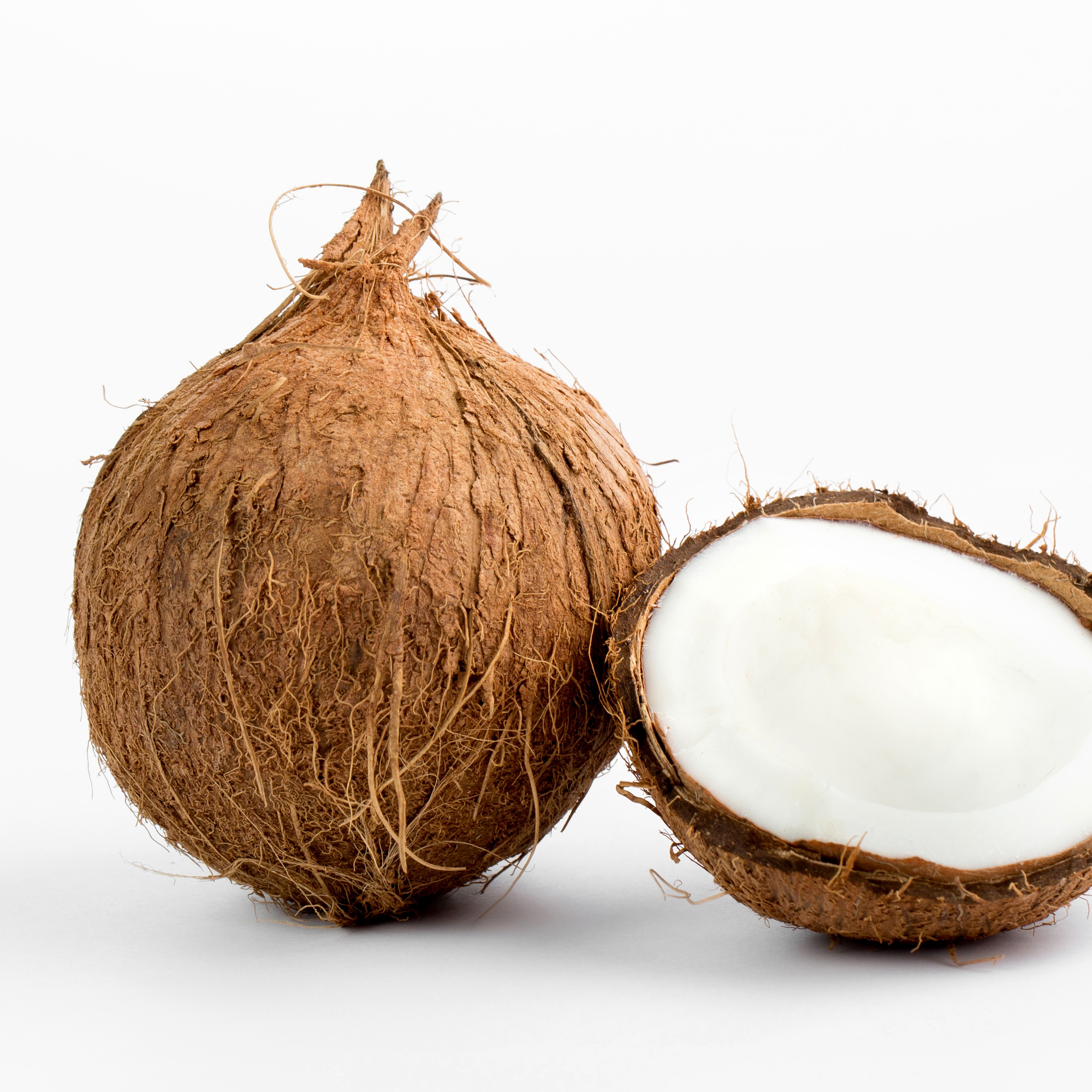 Malaysian Fresh Coconut Coconut